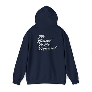 2023 Classy 4K Hoodie