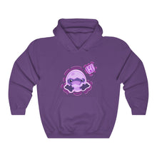 Load image into Gallery viewer, Baby Raven Hooded Sweatshirt